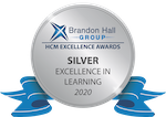 Silver Learning Award Medal